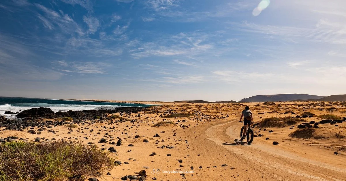 Beginner Bike Triathlon - BicycleCost