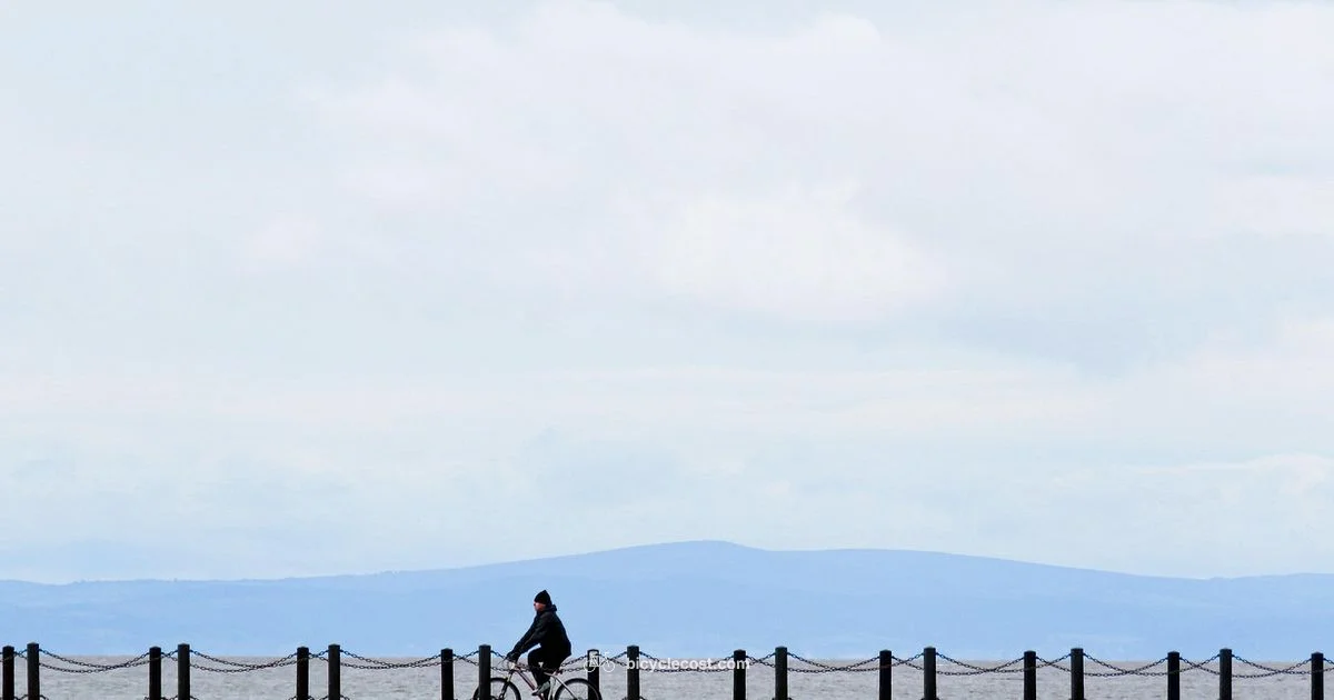 French Bicycle Terms - BicycleCost