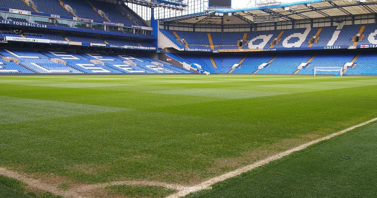 Ronaldo Bicycle Kicks - BicycleCost