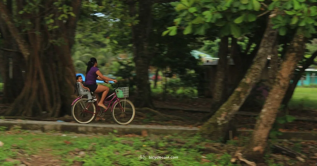 Beginner Bike Learning - BicycleCost