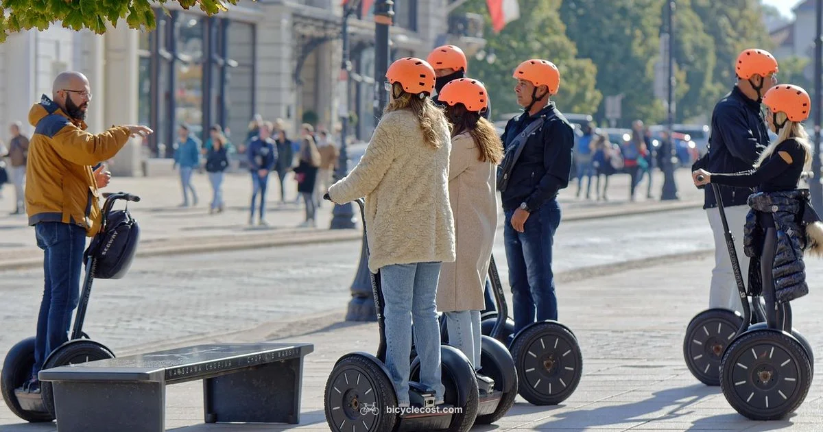 Four Wheel E Bike Guide Four Wheel E Bike Guide - BicycleCost