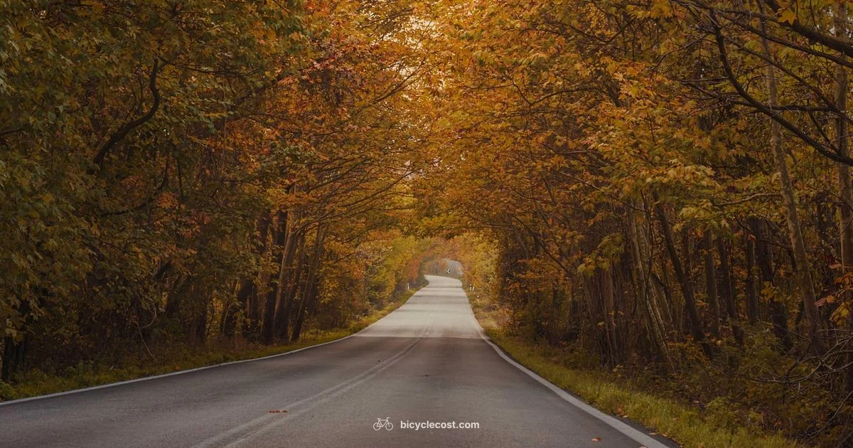 Bike Training Plan - BicycleCost