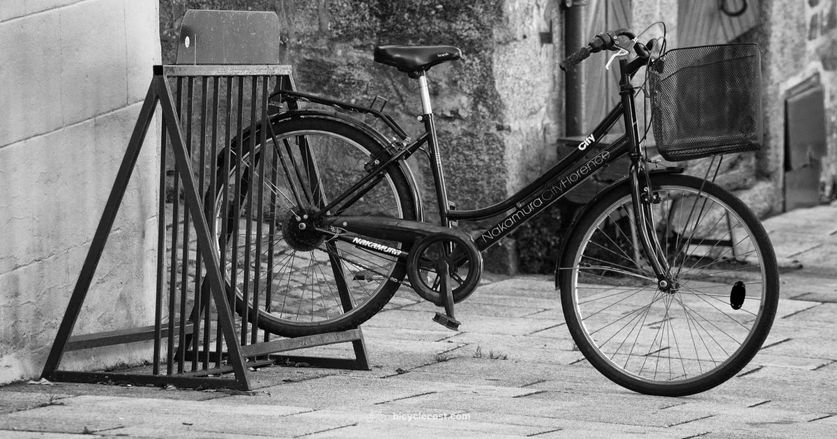 Bicycle Electric Scooter Guide - BicycleCost