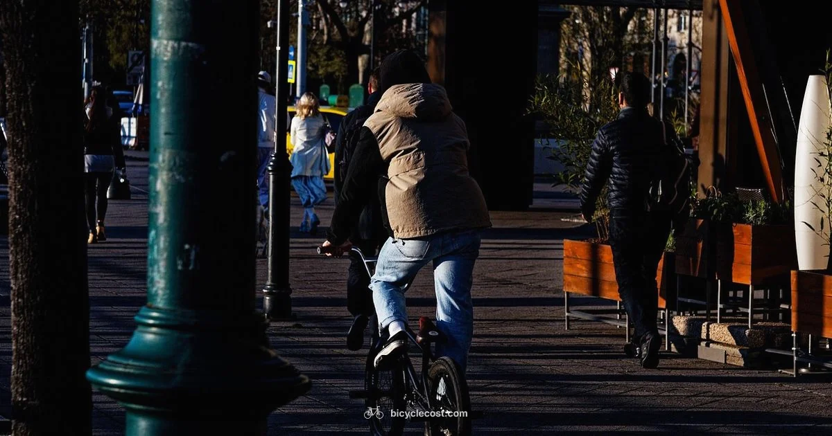 Stolen Bike Guide - BicycleCost