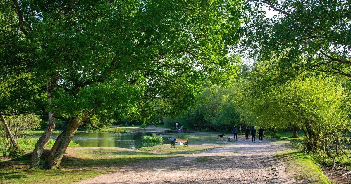 Dog Trailer Guide - BicycleCost