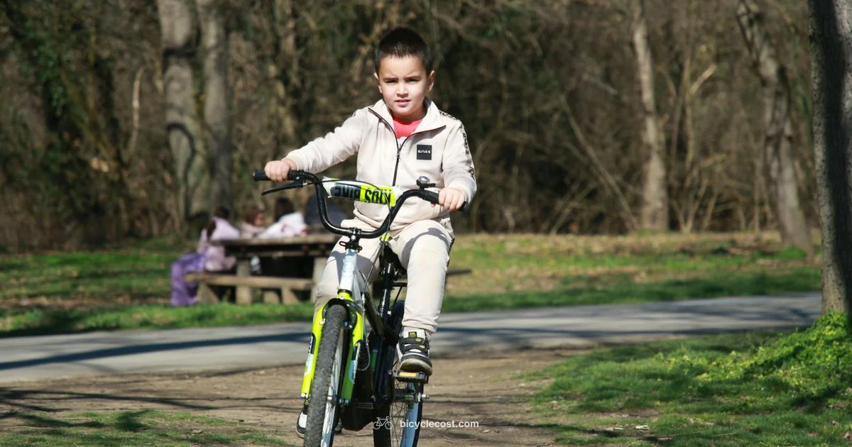 16 Inch Bike Guide - BicycleCost