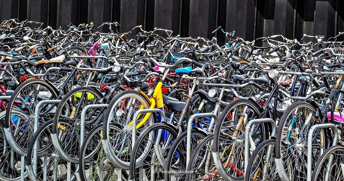 Why Bicycles Matter - BicycleCost