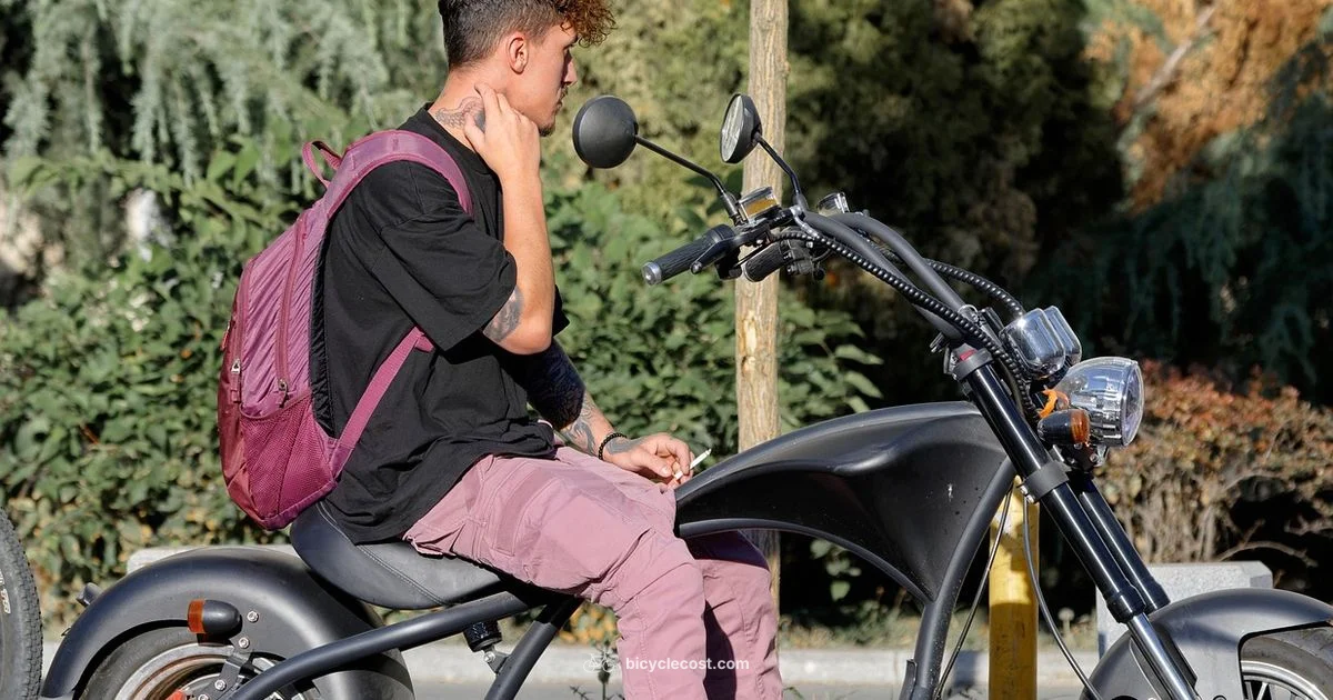 Motorcycle Styled eBike - BicycleCost