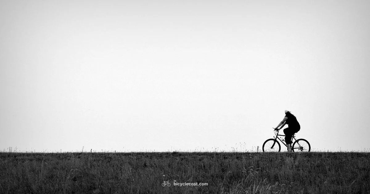 Brand Guide - BicycleCost