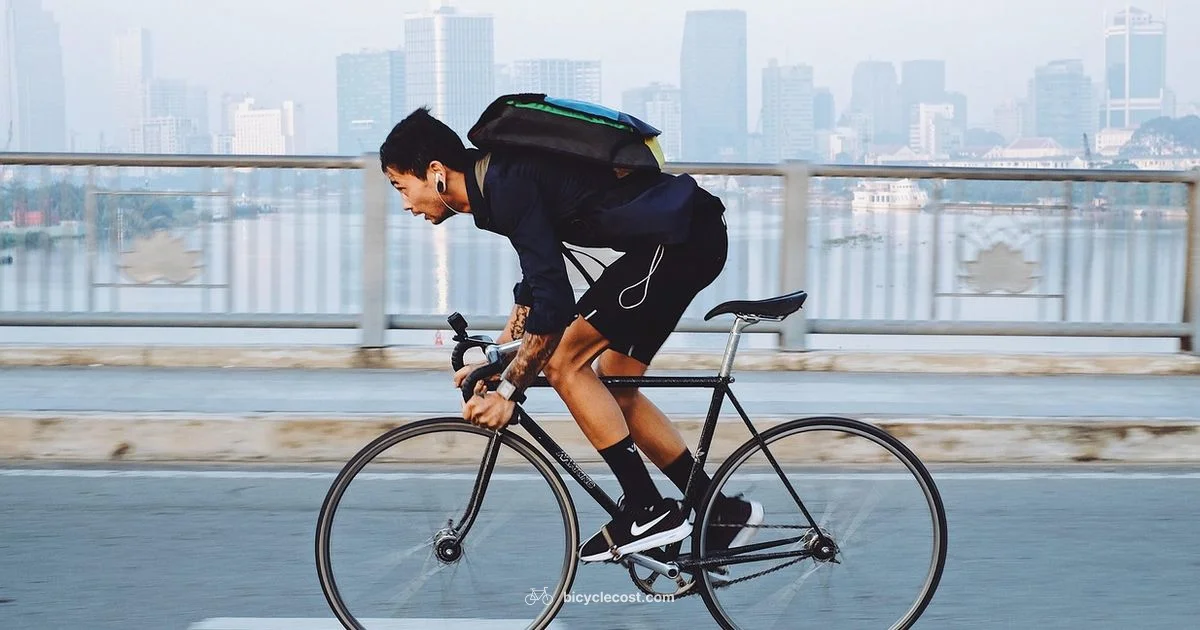 Bike ROI Guide - BicycleCost