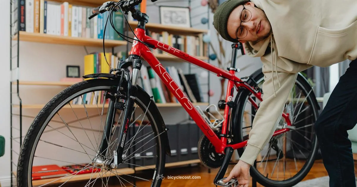 Bike Pro Guide - BicycleCost