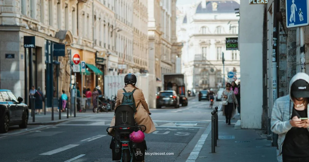 Smart Budget Ride - BicycleCost