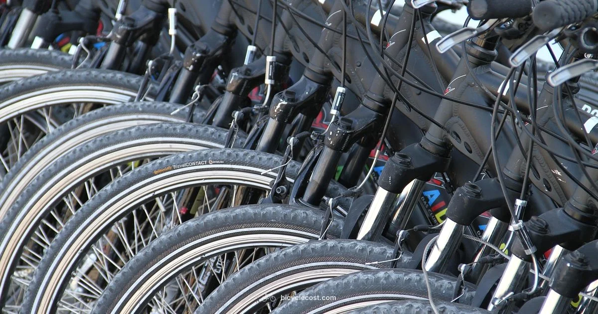 Bicycle Triathlon Guide - BicycleCost