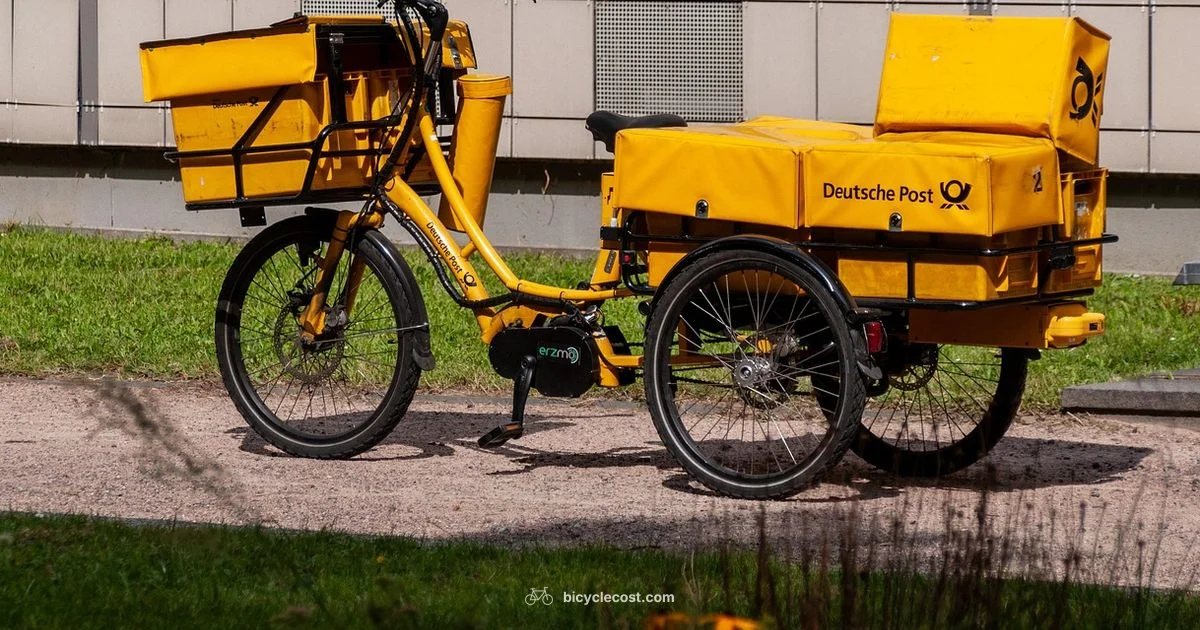 Lost RC Guide - BicycleCost