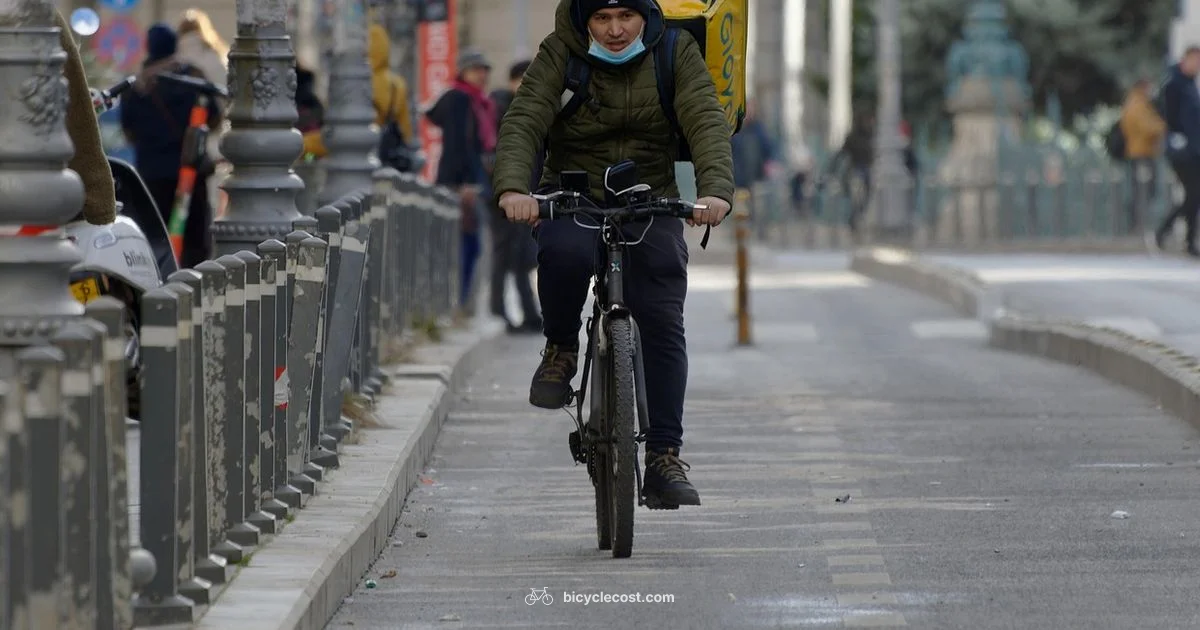 Delivery Earnings - BicycleCost