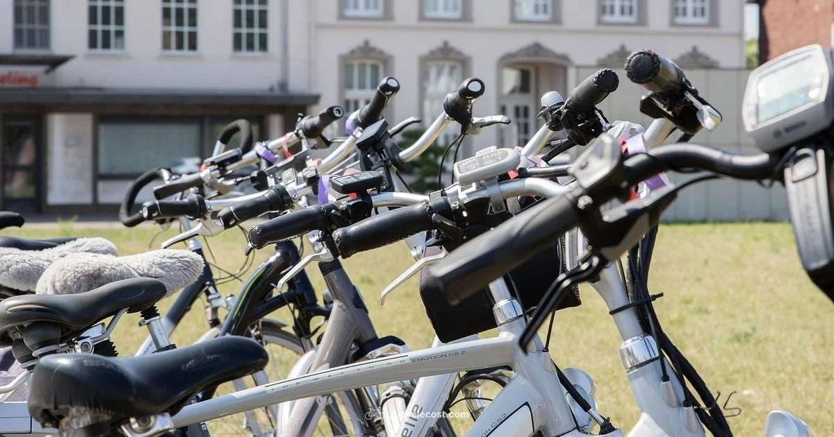 High Speed E-Bike - BicycleCost