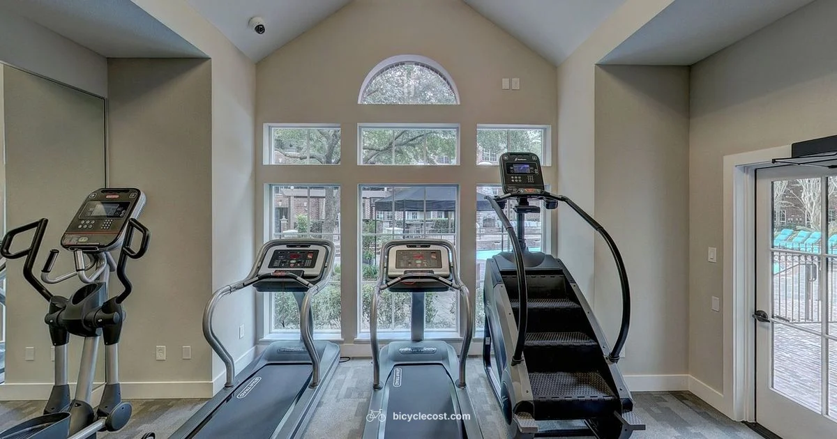 Bike vs Run - BicycleCost