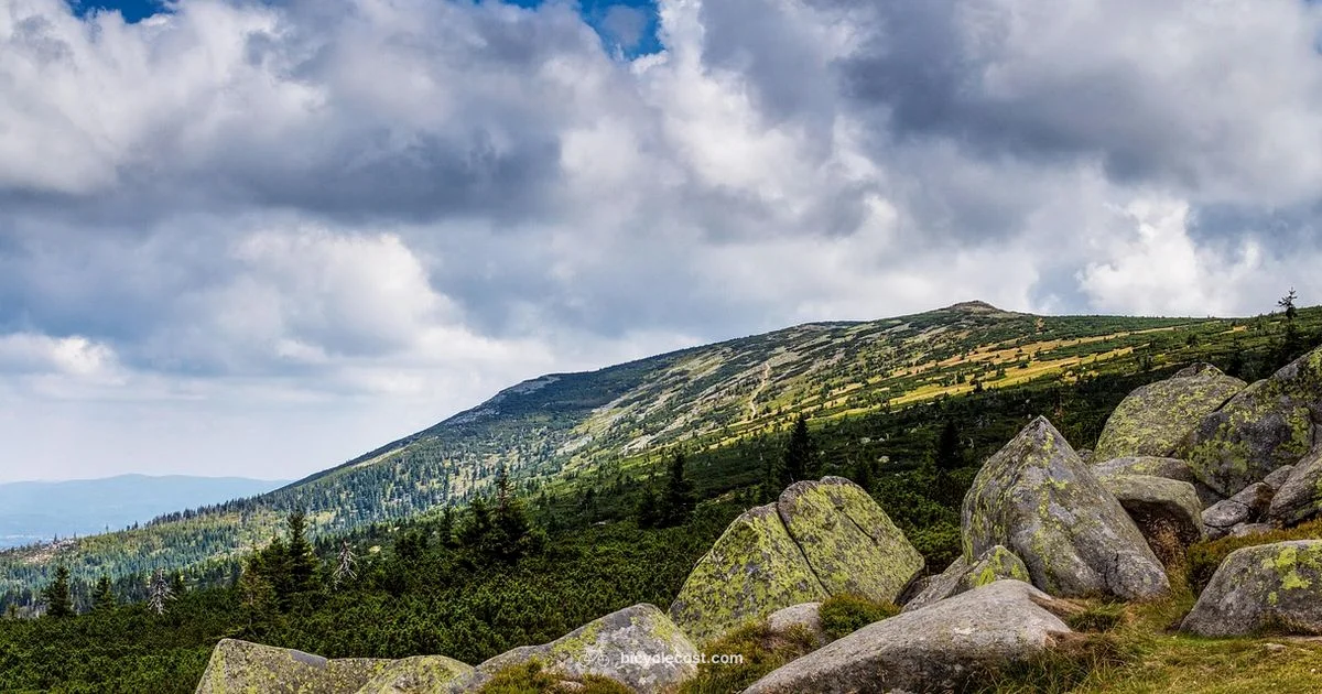 Giant Mountain Bikes - BicycleCost