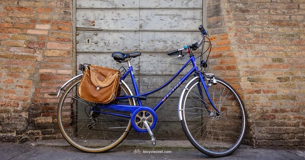 Fixie Basics - BicycleCost