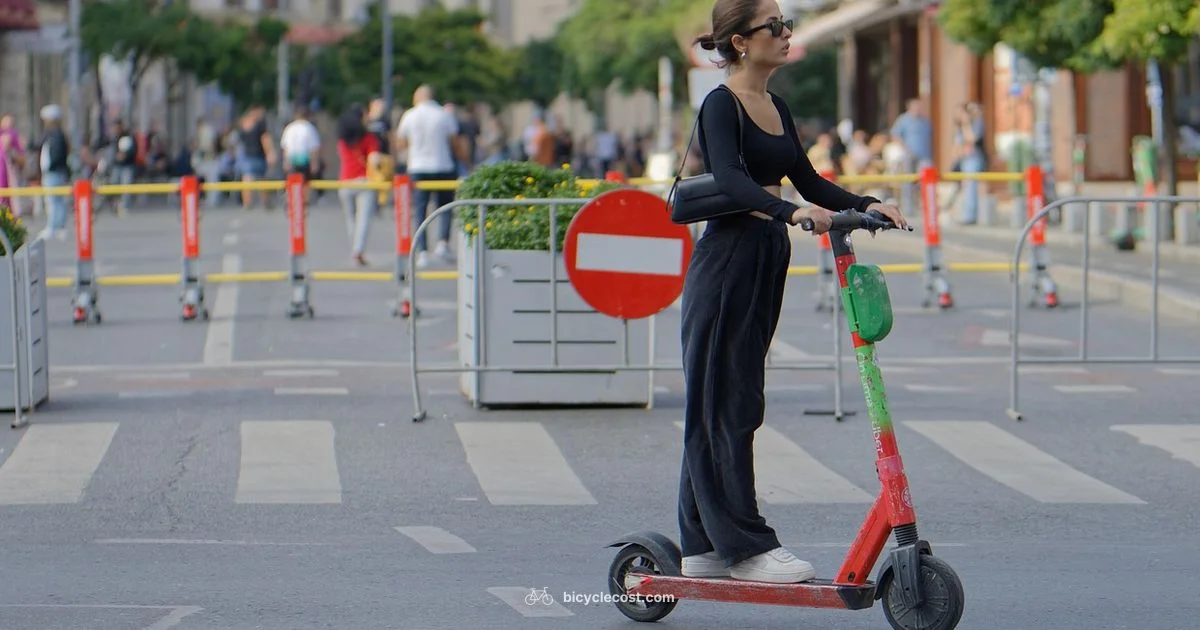 Men and E Bikes - BicycleCost