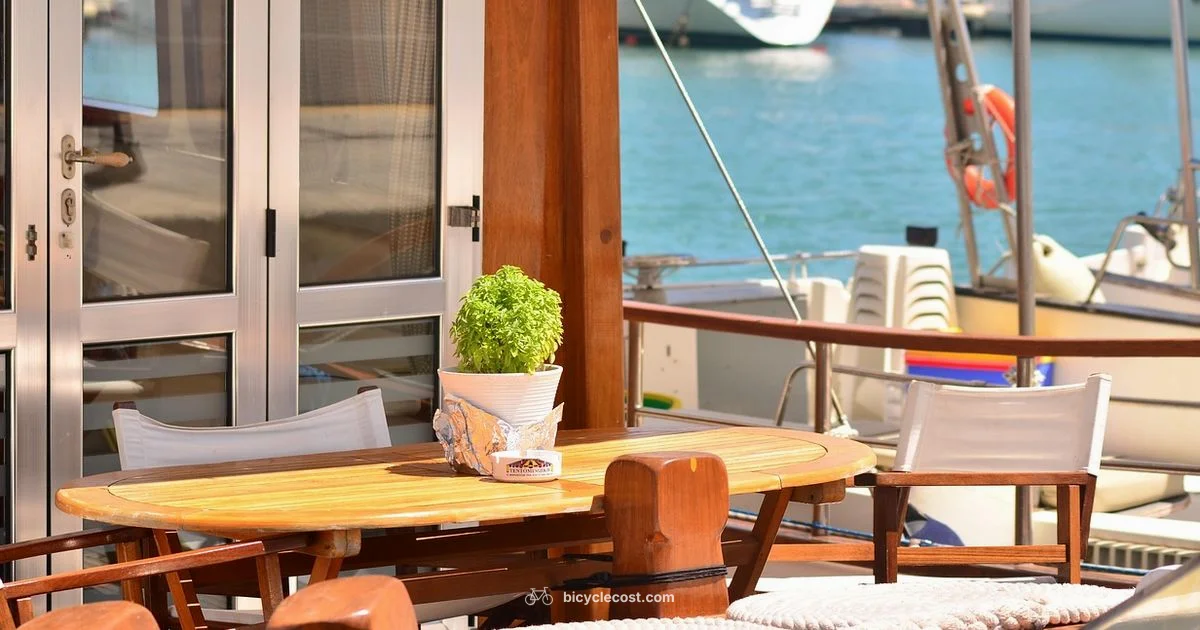 Bicycle Deck Essentials - BicycleCost