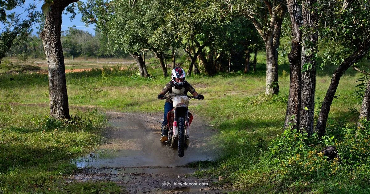 Big Bike Sizing Guide - BicycleCost