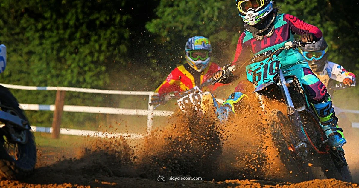 Electric Dirt Guide - BicycleCost
