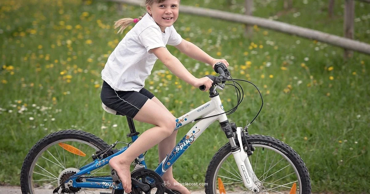 Seven Year Old Bike Guide - BicycleCost
