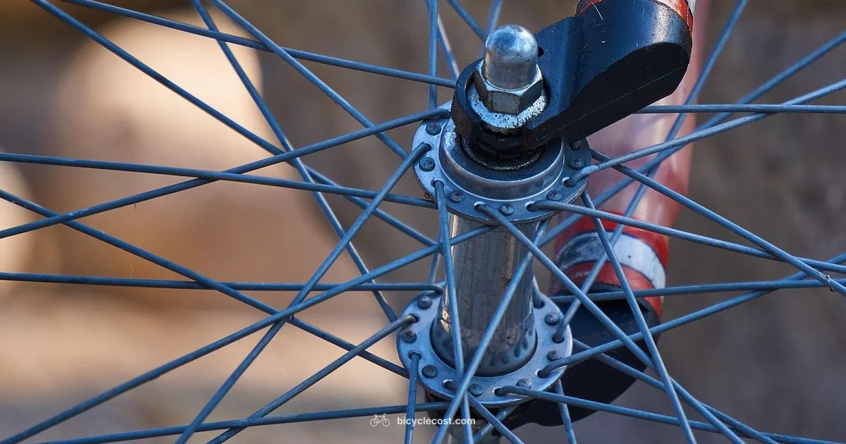 Wheel Size Guide - BicycleCost