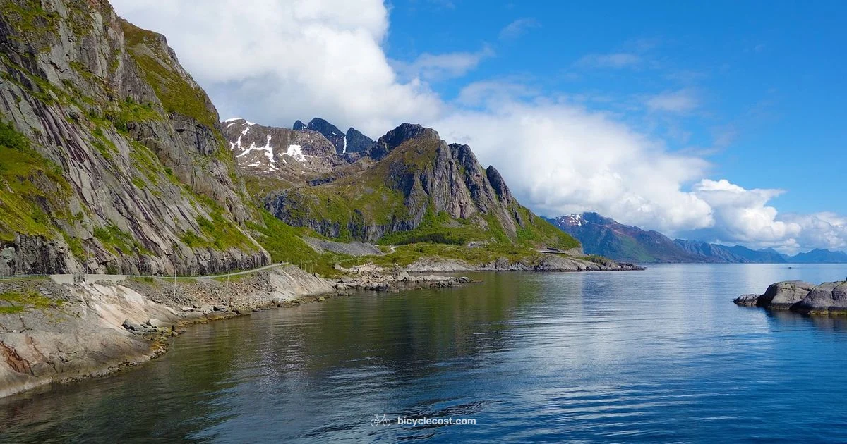 Electric Road Guide - BicycleCost