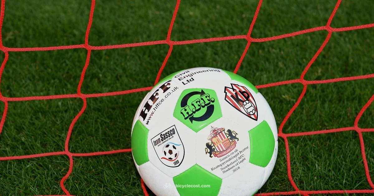 Bicycle vs Scissor Kick - BicycleCost