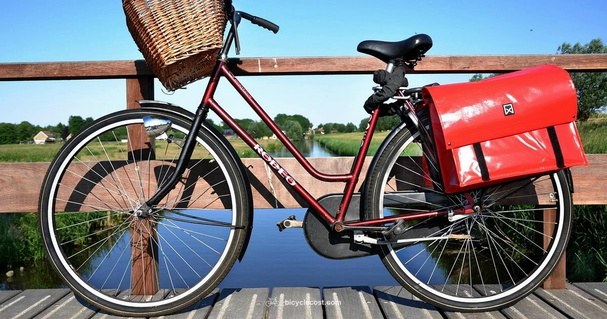 Best Bike Brand 2026 - BicycleCost