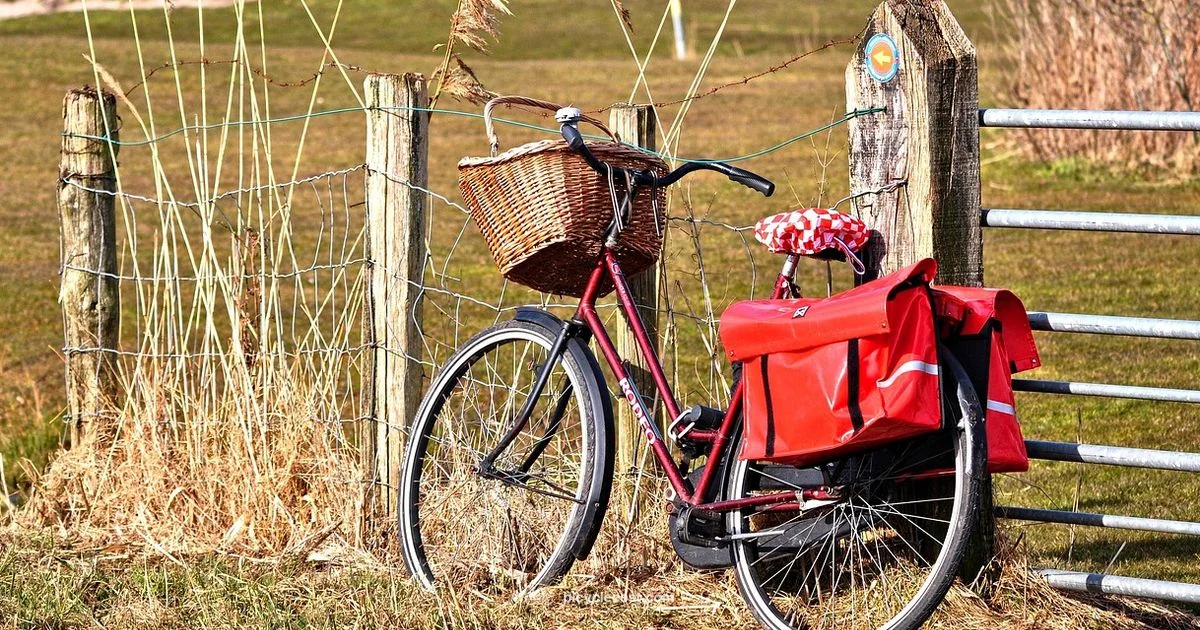 Bicycle Bag Guide - BicycleCost