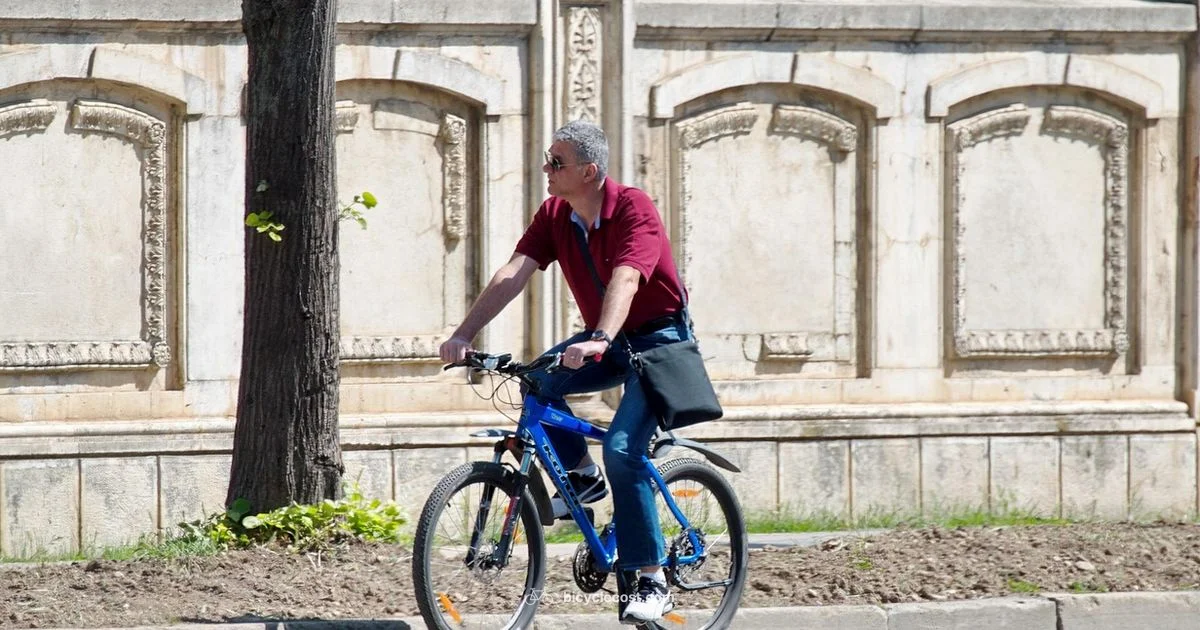 Bikes Brand Guide - BicycleCost