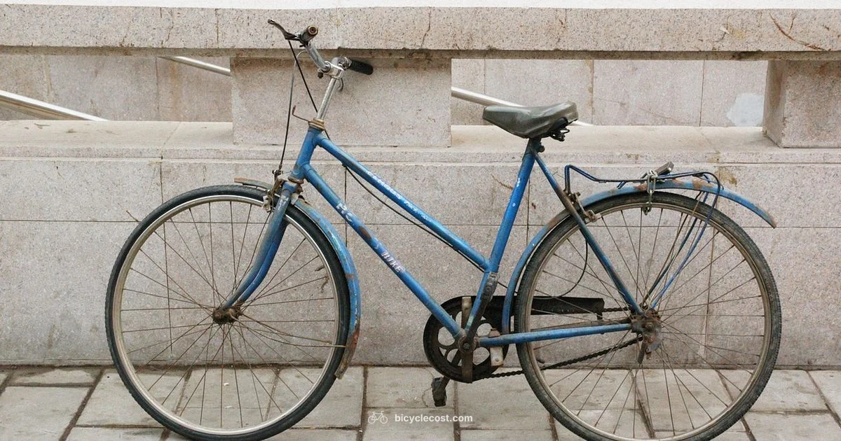 Gear Basics - BicycleCost