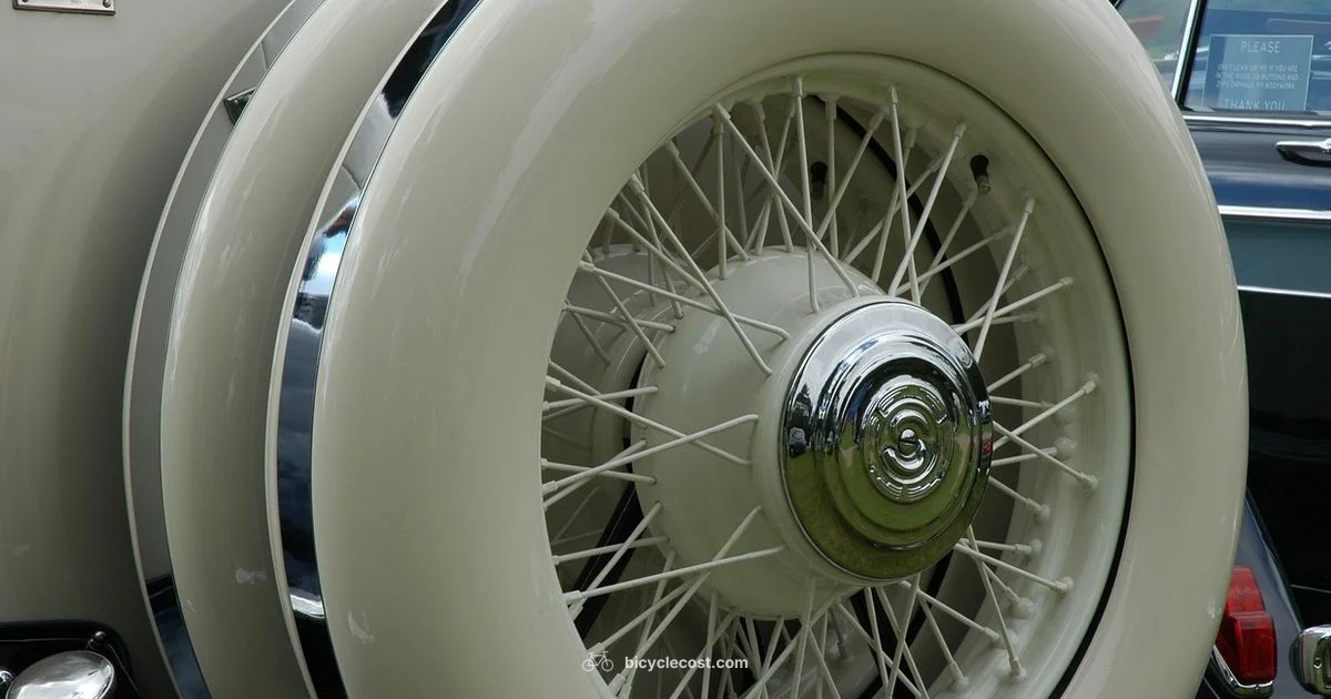 Spoked Wheel Basics - BicycleCost