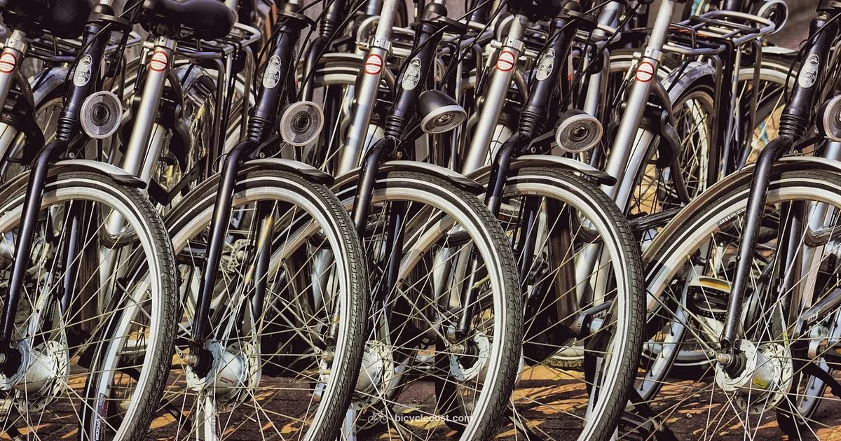 Costco E-Bike Guide - BicycleCost