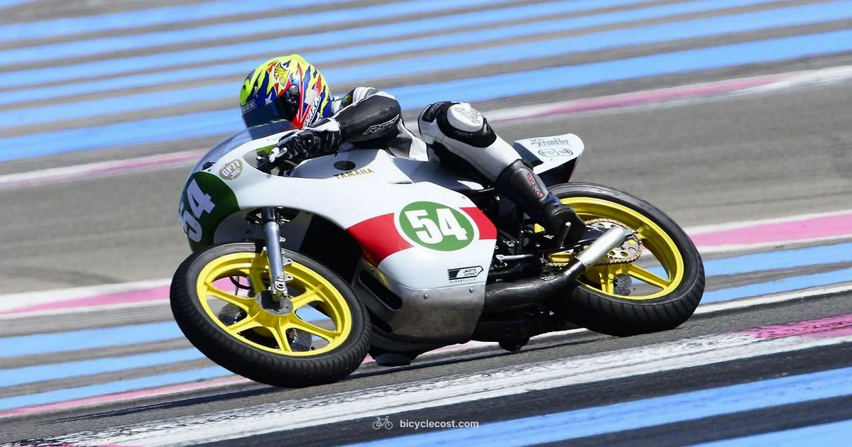 Fast Yamaha Ride - BicycleCost