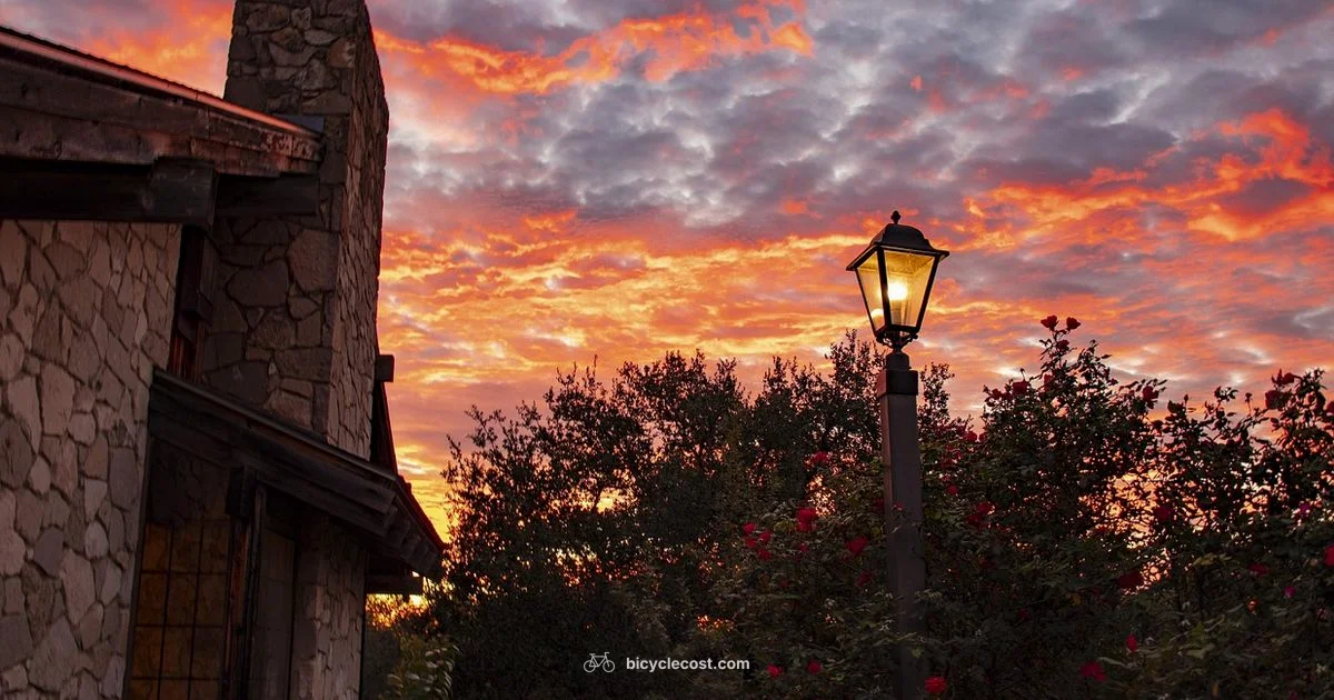 Bicycle Can Guide - BicycleCost