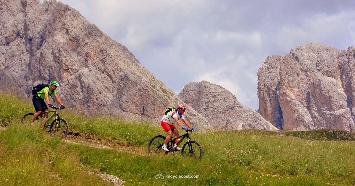 Mountain Bikes for Sale Mountain Bikes for Sale - BicycleCost