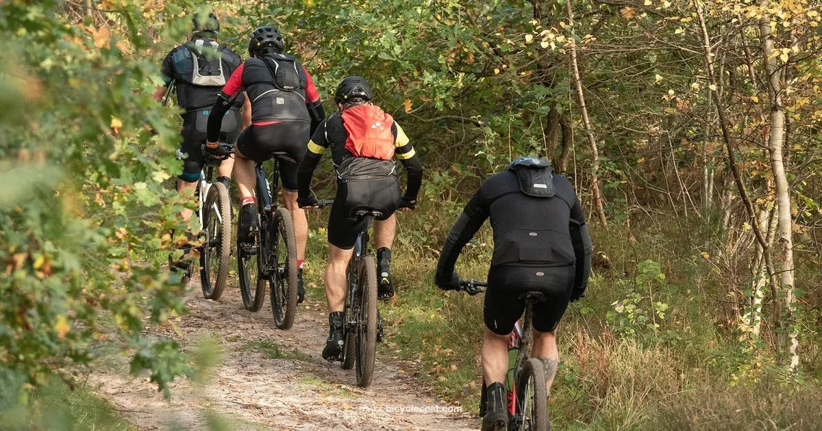 Health With Cycling - BicycleCost