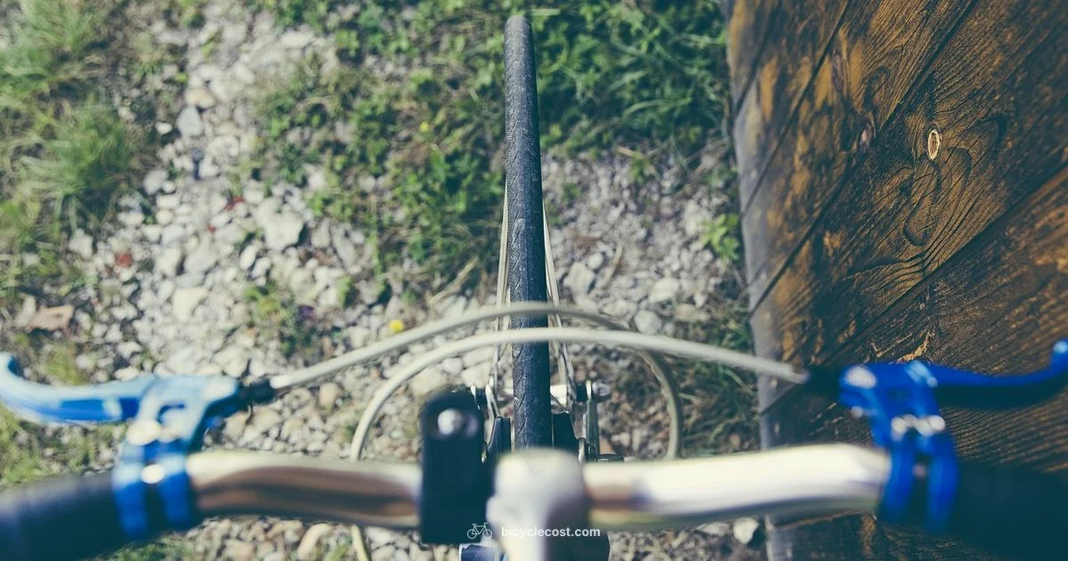 Gearing Essentials - BicycleCost