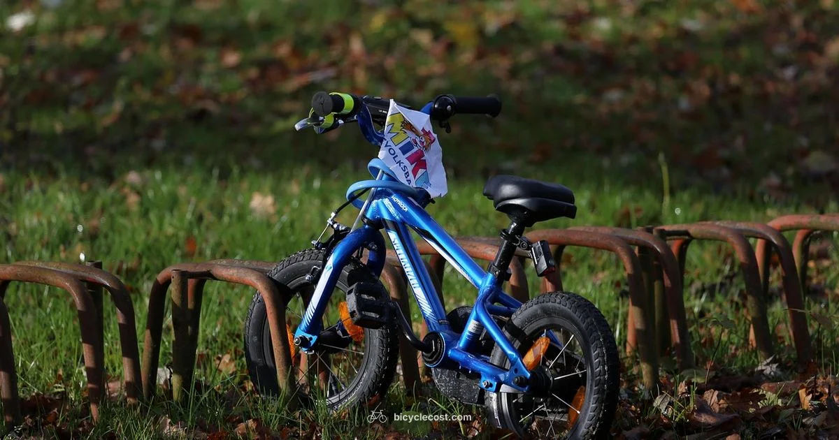 Bike on Train - BicycleCost
