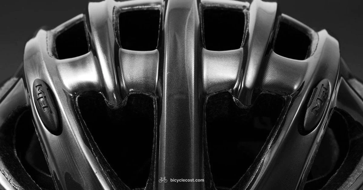 Pregnant Cycling Safety - BicycleCost