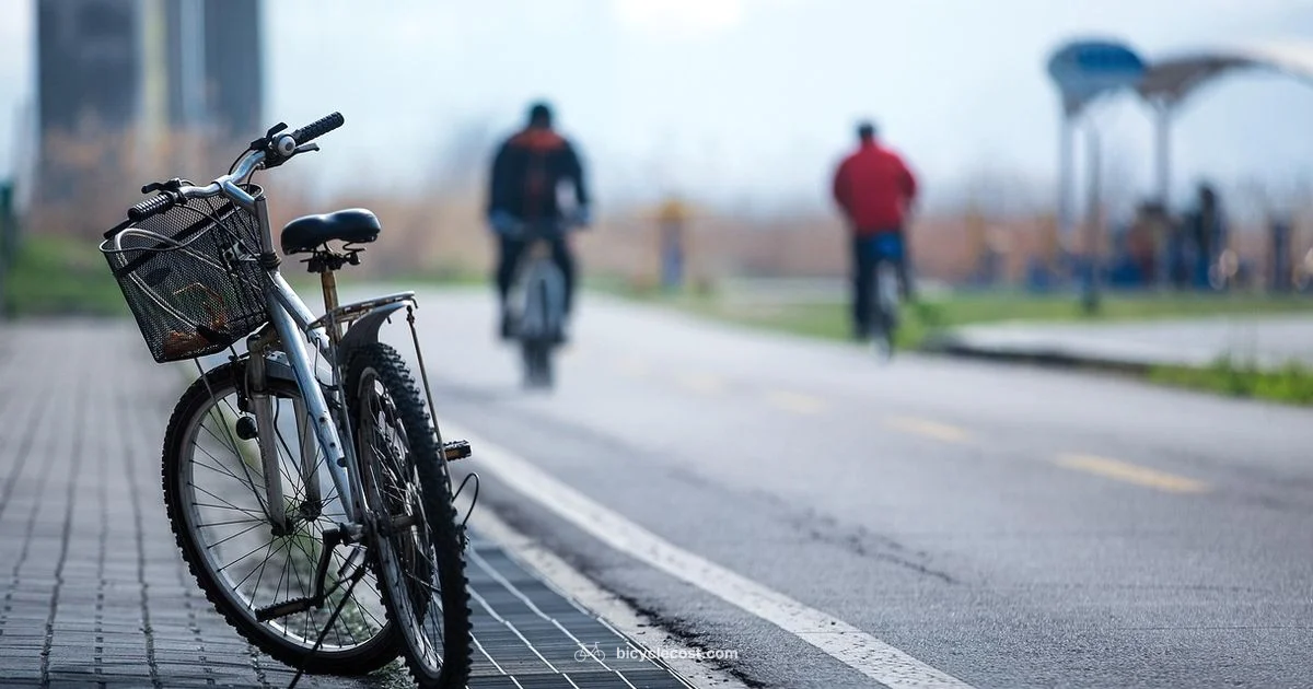 Can Bike Guide - BicycleCost