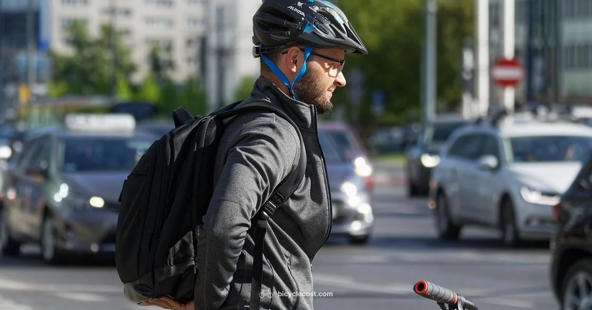 Traffic Safety Guide - BicycleCost