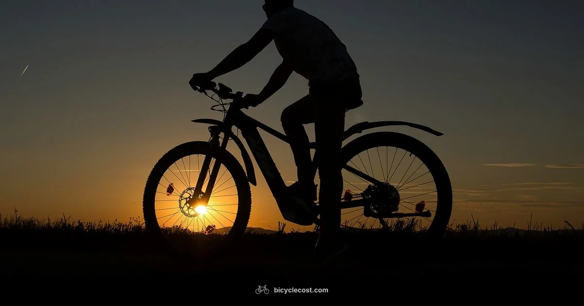 Find E-Bike Rentals Find E-Bike Rentals - BicycleCost