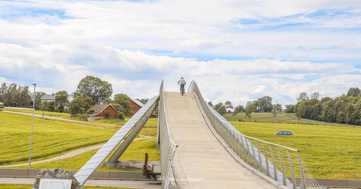 Road Frame Guide - BicycleCost