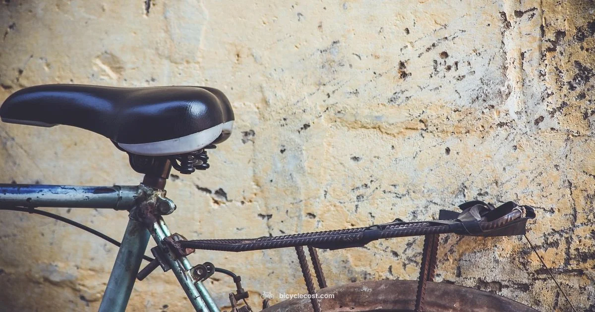 Smart Used Bike Buy - BicycleCost