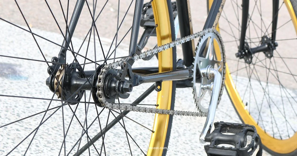 Chain Longevity - BicycleCost